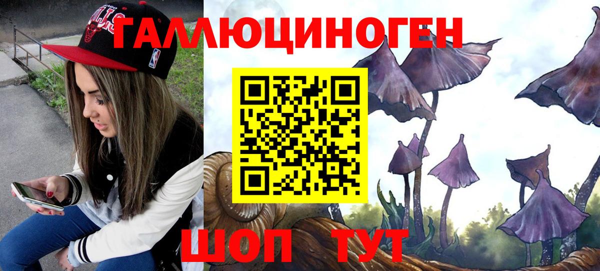 Вышний Волочёк  Псилоцибиновые грибы Magic Shrooms  Вход с VPN 